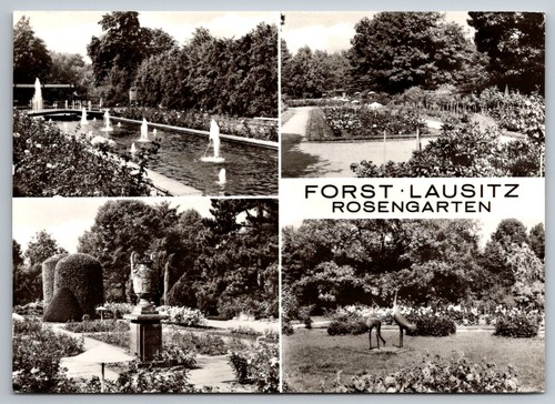 Postkarte forst lausitz - postkarte,