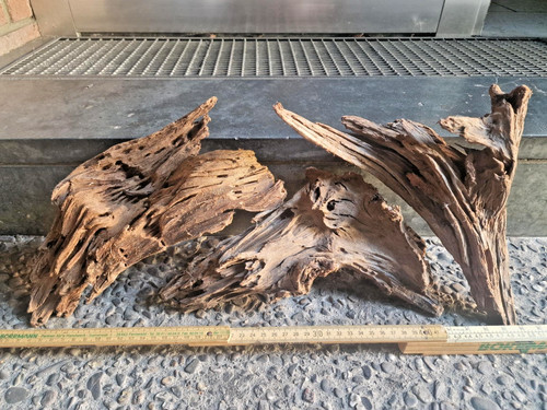 Aquarium wurzel mangroven - aquarium,