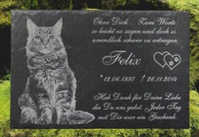 Tiergrabstein Fotogravur