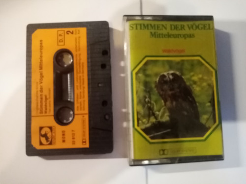 Stimmen der vögel - stimmen,