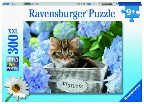 300 teile ravensburger kinder - 300,