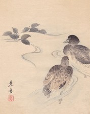 Enten im Teich - Kanno Schule - 1894 - Farbholzschnitt - Japan - Ukiyo-e