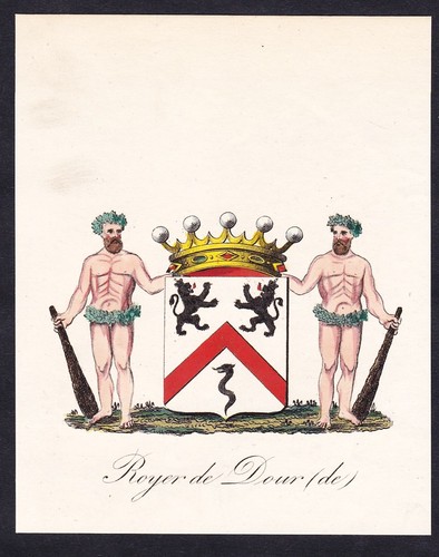 Royer dour blason coat of - de,