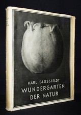 Karl blossfeldt wundergarten - karl,