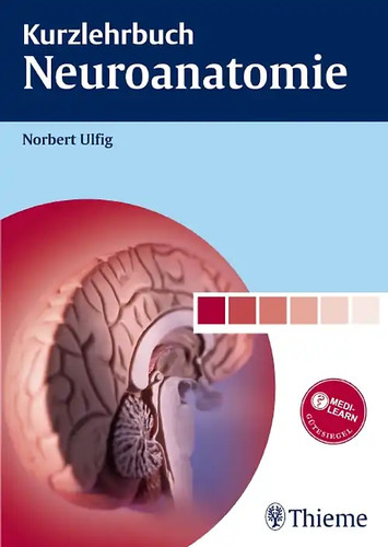 Kurzlehrbuch neuroanatomie - kurzlehrbuch,