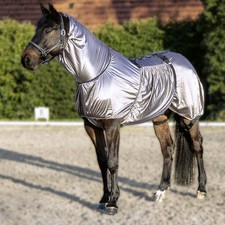 HKM Ekzemer Decke Security