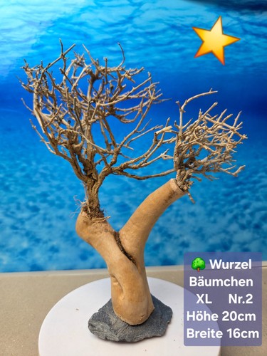 Aquarium wurzel bonsai - 🌳aquarium,