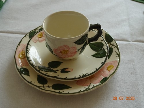 Wildrose villeroy und - -,