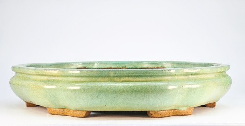 Bonsaischale shuho tokoname - bonsaischale,