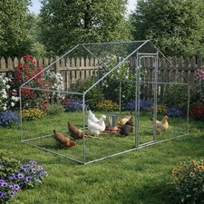 Freilaufgehege Freigehege