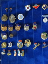 FDJ, JUNGE PIONIERE, DDR, Pin