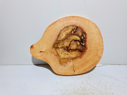 Baumscheibe holzscheibe - baumscheibe,,
