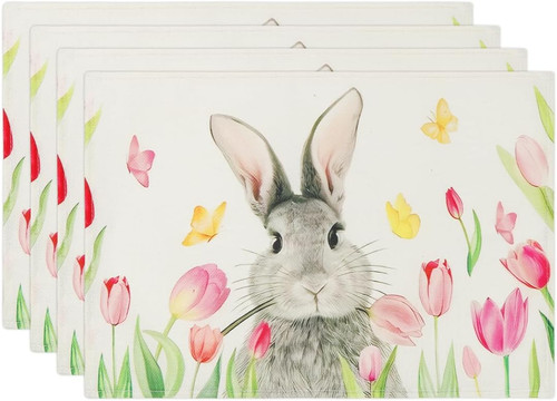Hase tulpen frühling - tulpen,