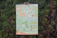 Rollkarte Schulwandkarte