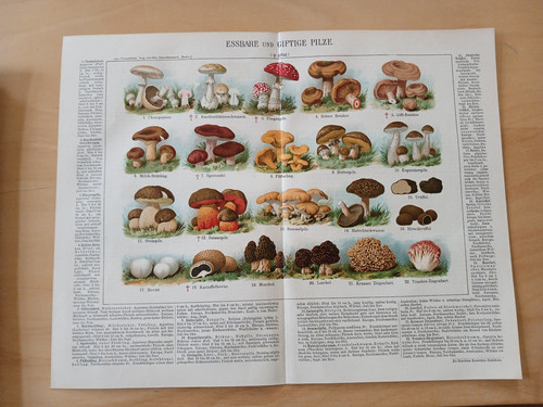 Chromolithographie 1900 - chromolithographie, um