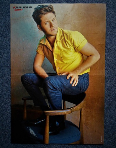 Niall horan poster - horan, (ca