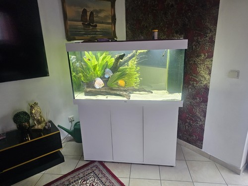 Aquarium mit inhalt - aquarium,