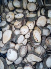 Baumscheibe Nußbaum  Holzscheiben wie gewachsen Deko, Floristik, Basteln, usw.