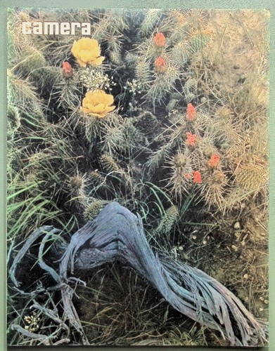 Camera 1973 allan - allan,
