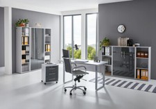 Arbeitszimmer Büromöbel