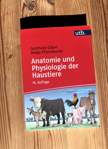 Anatomie und physiologie der - anatomie,