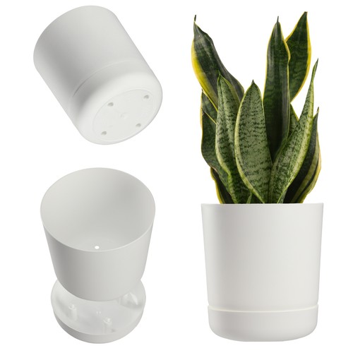 Kadax blumentopf mit - blumentopf,