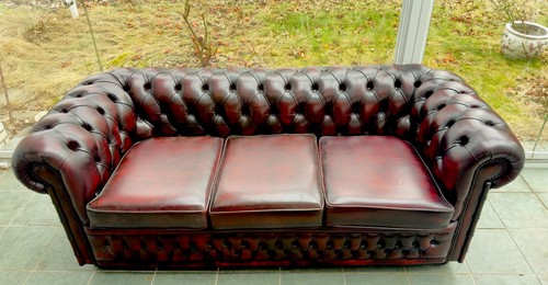 Exklusives chesterfield - exklusives,