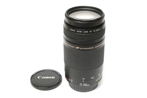 Canon 300 ii usm - ef,