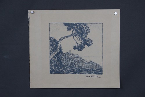 Carl thiemann dachauer - carl,