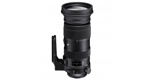 Sigma 600 dg - sigma, os