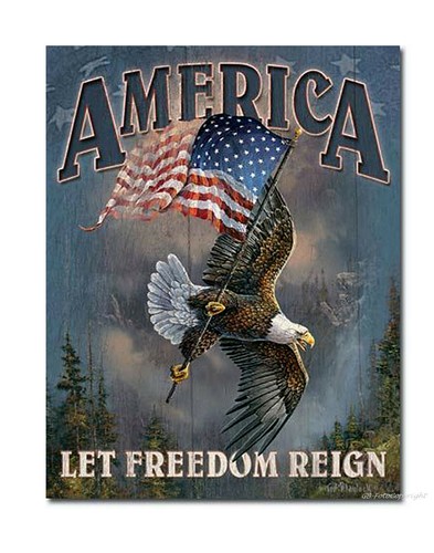Schild cm usa poster - x,