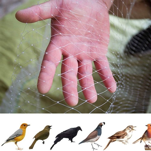 Vogelschutznetz laubschutznetz - vogelschutznetz,