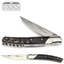 Goyon-Chazeau Le Thiers