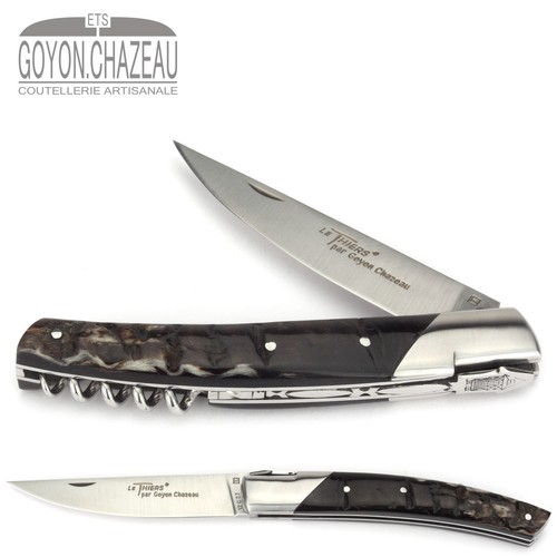 Goyon chazeau thiers - goyon-chazeau, le