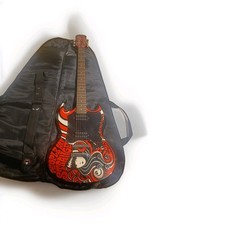 Rarität: Epiphone G-310