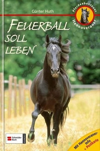 Pferdeabenteuer 4 - pferdeabenteuer,,