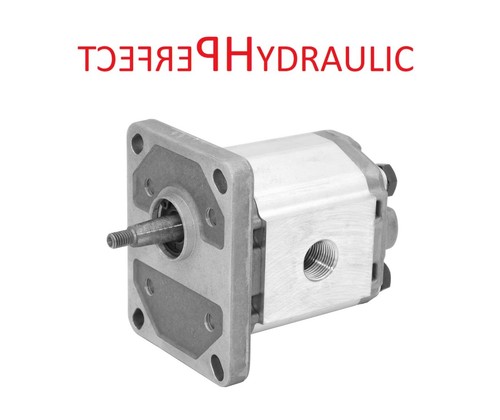 Hydraulikpumpe zahnradpumpe - hydraulikpumpe,