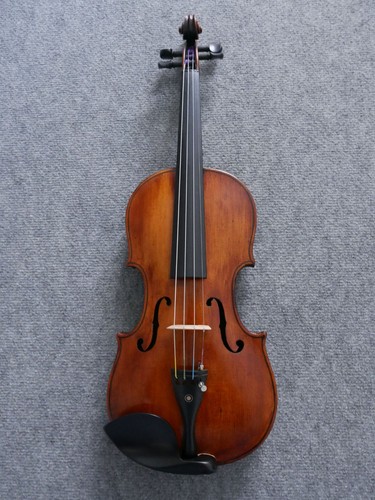 Alte geige stainer reifer - -,