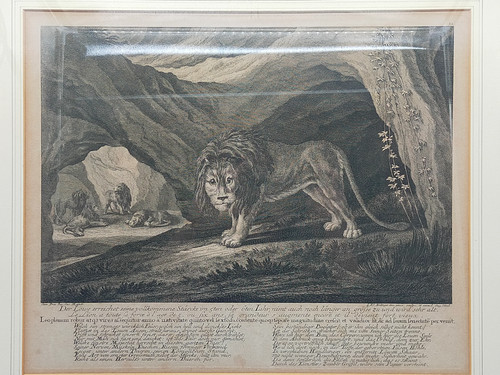 Antiker kupferstich johann - kupferstich,
