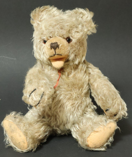 Alter teddybär bär - alter,