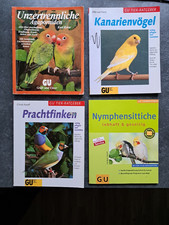 4x Agaporniden Prachtfinken