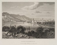 Rohbock nach lange - (*1824),