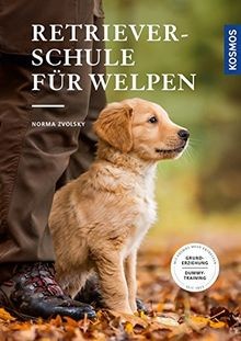 Retrieverschule für welpen - retrieverschule,