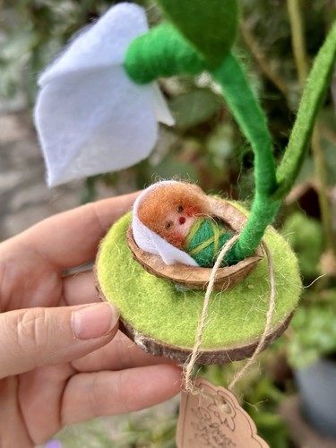 Baby der nusschale - in,