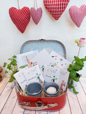 Kräuter Garten Anzucht Set Koffer, 4 Sorten Kräuter Samen, Pappkoffer Fideldidu