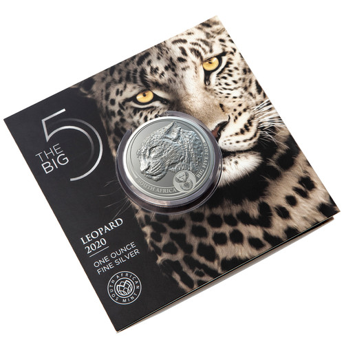 Big five leopard leo - 5, 2020