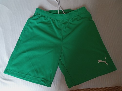 Puma drycell sportshorts - puma,