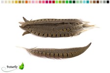 10 Fasanenfedern Natur Federn