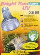 Lucky Reptile Bright Sun