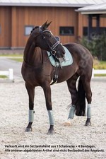 Imperial Riding IRHSky